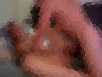 blondefoxsilverfox.jpg